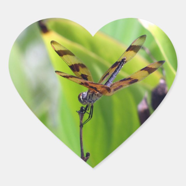 Dragonfly - Halloween Penant Heart Sticker (Front)
