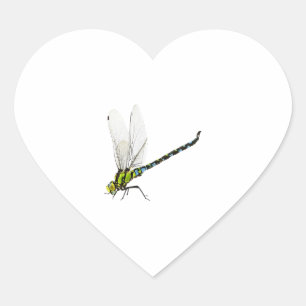 Dragonfly heart sticker