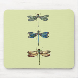 Dragonfly Illustrations Mouse Mat