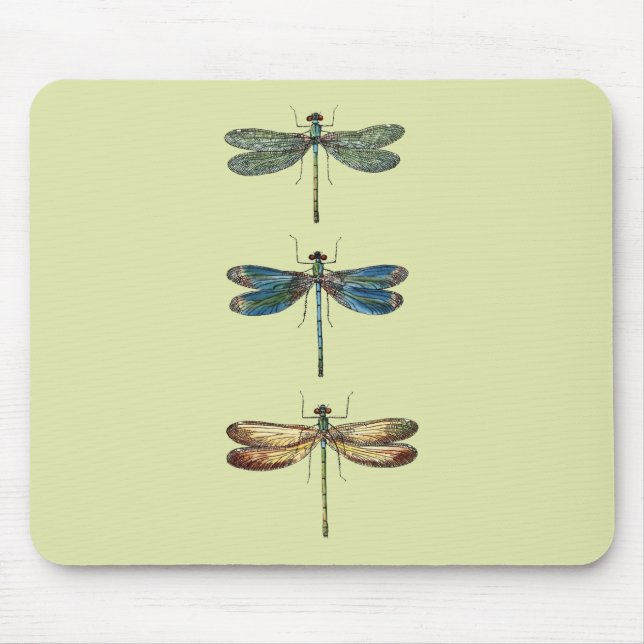 Dragonfly Illustrations Mouse Mat (Front)