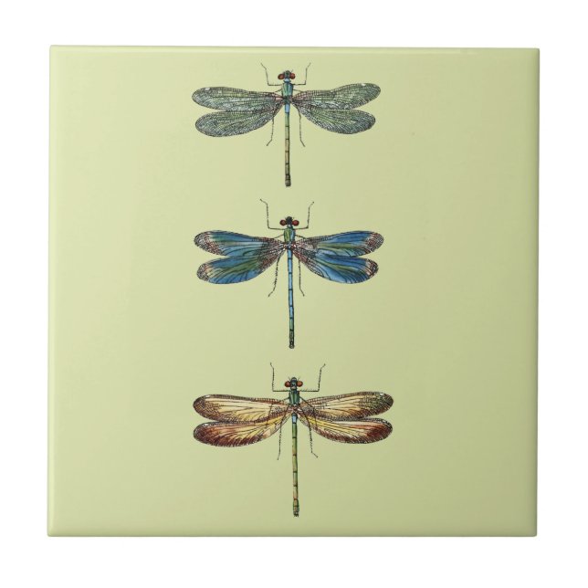 Dragonfly Illustrations Tile (Front)