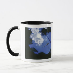 Dragonfly in flight, flapping wings mug