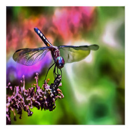 Dragonfly In Green and Blue Realistic Painting Poster