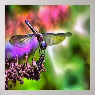 Dragonfly In Green and Blue Realistic Painting Poster