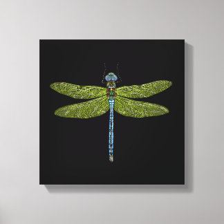 Dragonfly insect close up vibrant colours canvas print