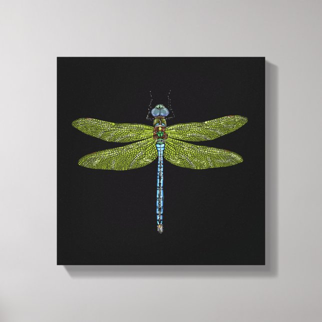 Dragonfly insect close up vibrant colours canvas print (Front)