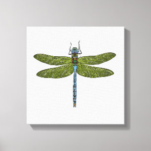 Dragonfly insect close up vibrant colours canvas print