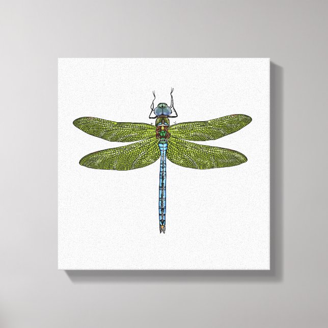 Dragonfly insect close up vibrant colours canvas print (Front)