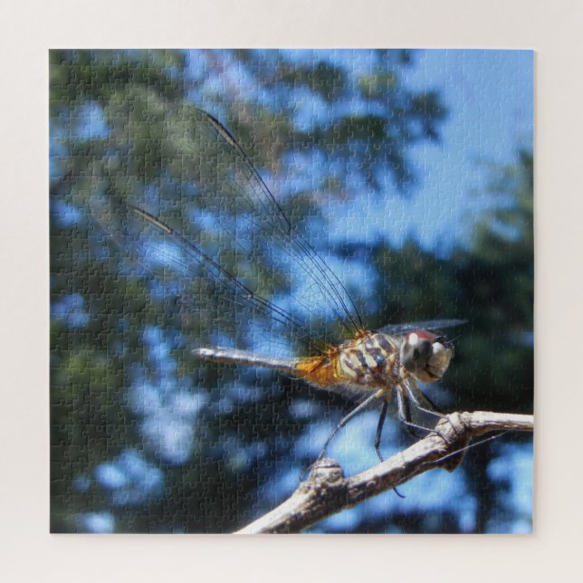 Dragonfly Insect Nature Macro Photo Jigsaw Puzzle (Vertical)