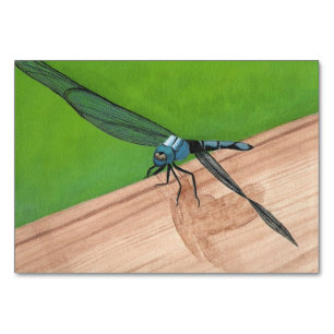 Dragonfly Insect Reading Flashcards Table Number