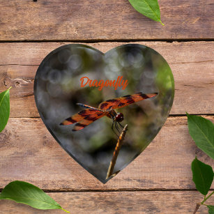 Dragonfly Iridescent Orange and Black Photographic Paperweight