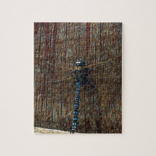dragonfly jigsaw puzzle