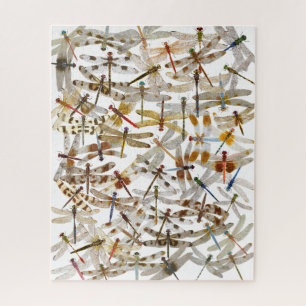 Dragonfly Jigsaw Puzzle