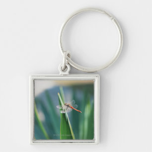 Dragonfly Key Ring