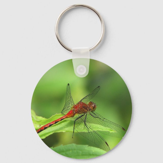 Dragonfly Keychain (Front)