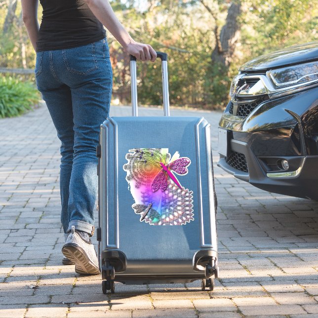 Dragonfly Lake (Suitcase Insitu)