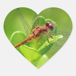 Dragonfly Landed on Green Garden Plant Heart Sticker