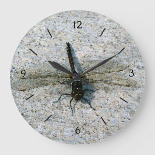 Dragonfly Large Clock