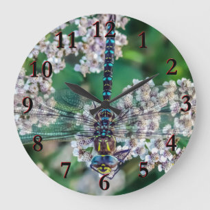 Dragonfly Large Clock
