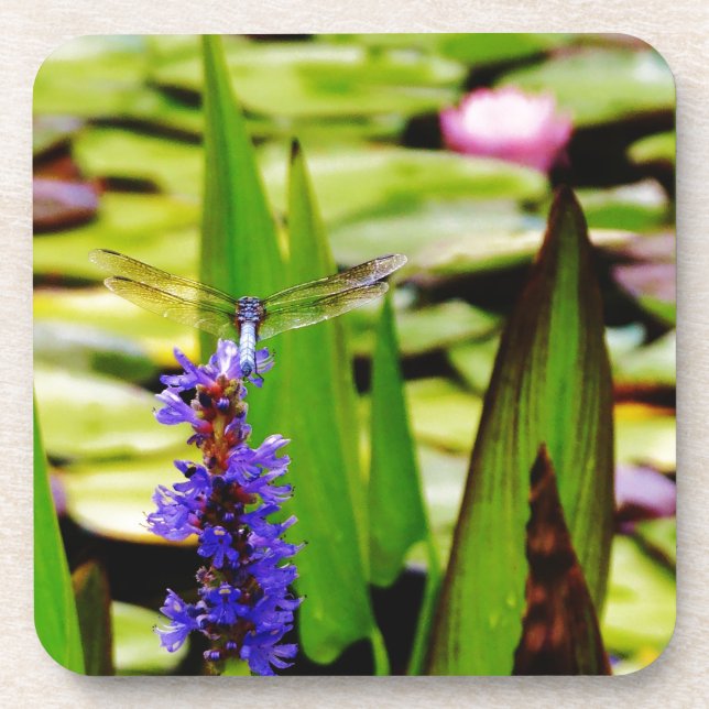 Dragonfly lotus and purple flower coaster (Front)