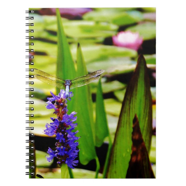 Dragonfly lotus and purple flower notebook (Front)