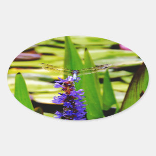 Dragonfly lotus and purple flower oval sticker
