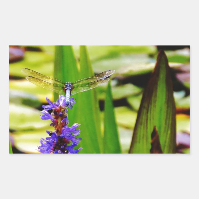 Dragonfly lotus and purple flower rectangular sticker (Front)