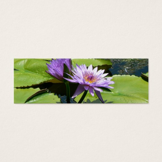 Dragonfly Lotus Mini Business Card