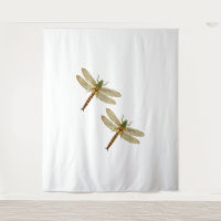 Dragonfly Lovers, Dragonfly Couples in Nature