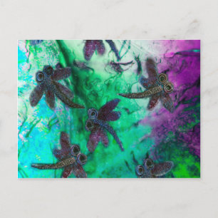 Dragonfly Magic Postcard