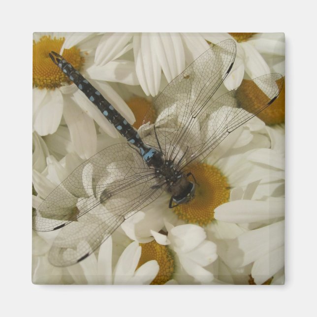 Dragonfly Magnet (Front)