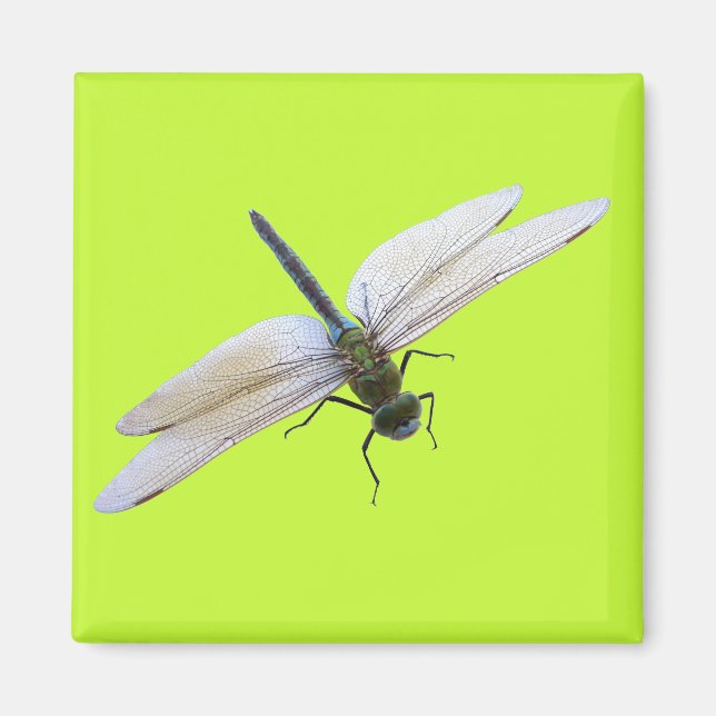 Dragonfly Magnet (Front)