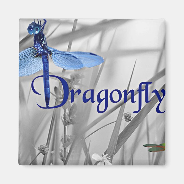 Dragonfly Magnet (Front)
