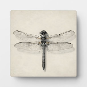 Dragonfly Metallic Detailed Vintage Entomological  Plaque