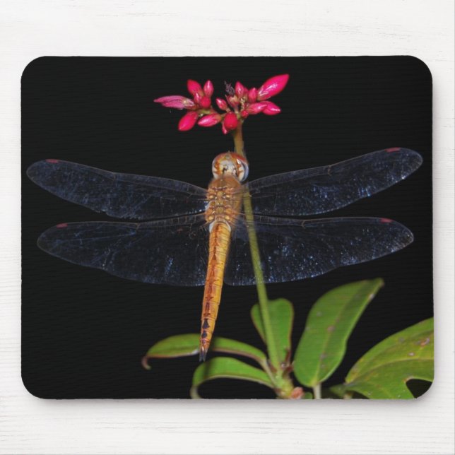 DragonFly Mouse Mat (Front)