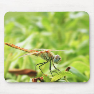 Dragonfly Mouse Mat