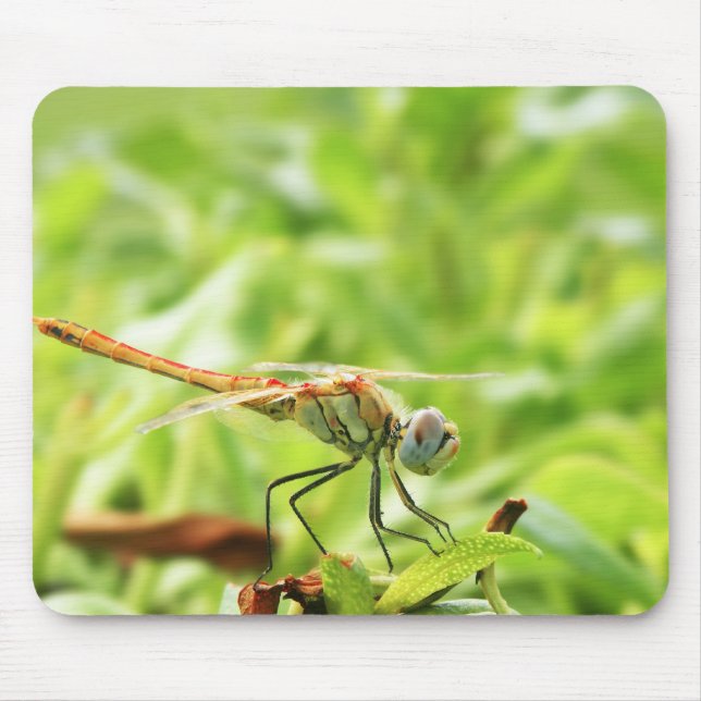 Dragonfly Mouse Mat (Front)