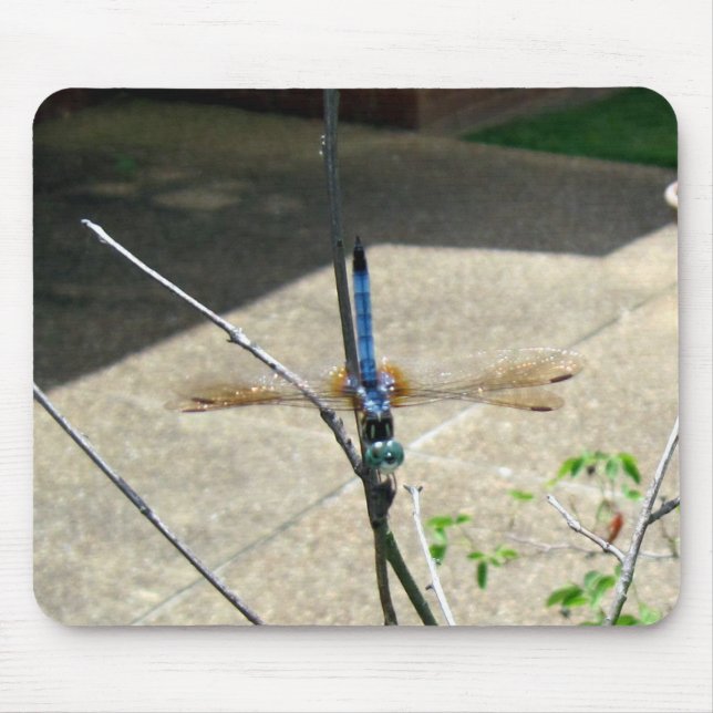 Dragonfly Mouse Mat (Front)