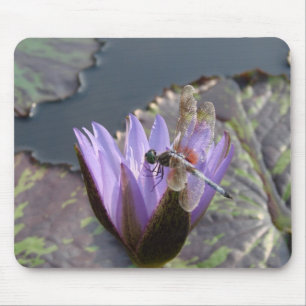 DragonFly Mouse Mat