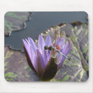 DragonFly Mouse Mat