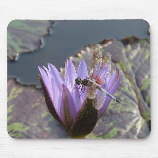 DragonFly Mouse Mat (Front)