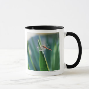 Dragonfly Mug