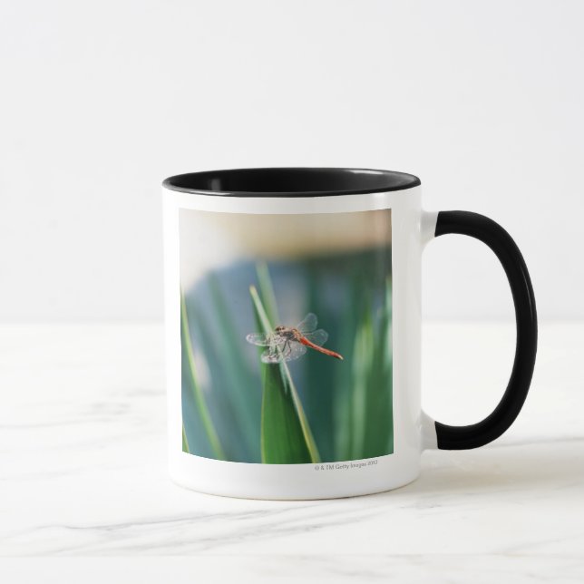 Dragonfly Mug (Right)