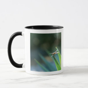 Dragonfly Mug