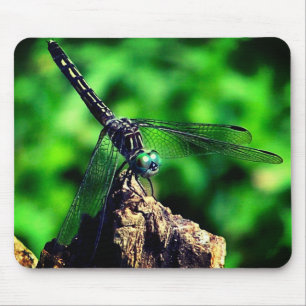 Dragonfly Nature  Mouse Mat
