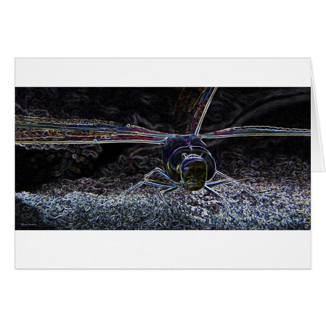 Dragonfly neon 2 (Front Horizontal)