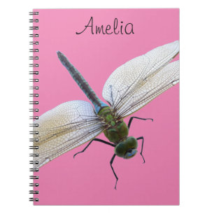 Dragonfly Notebook