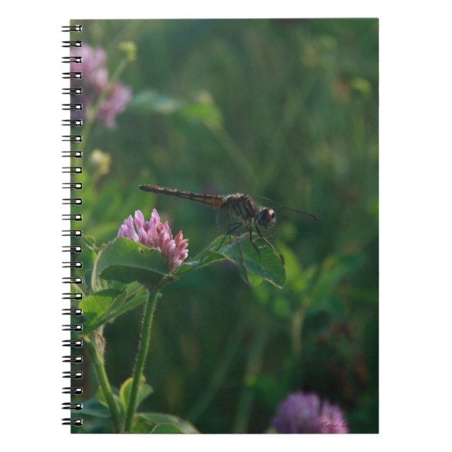 Dragonfly Notebook (Front)