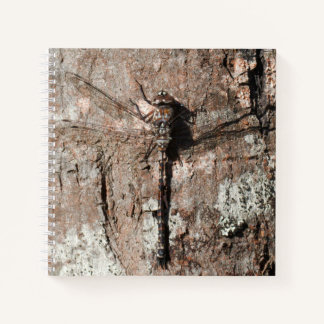 Dragonfly notebook