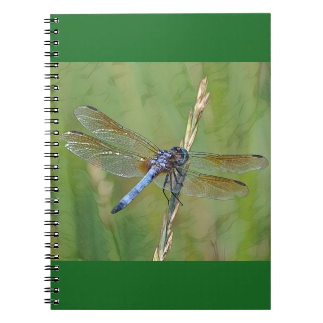 Dragonfly Notebook (Front)